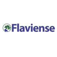 Logo da empresa parceira 6